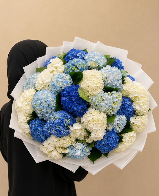 Azure Bloom XXL™ – Blue & White Hydrangeas