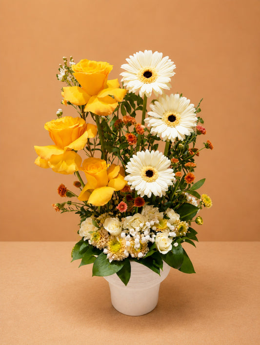 Golden Radiance™ | Orange Roses & White Gerbera Floral Arrangement Dubai